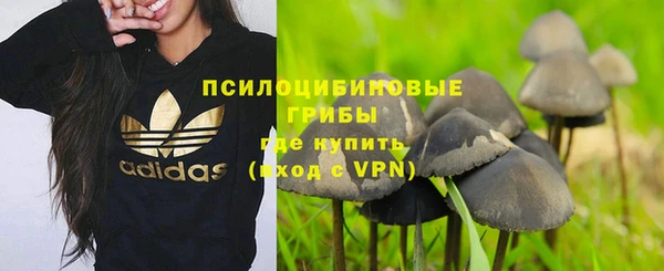 кокс Алексеевка