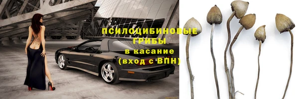 сатива Алзамай