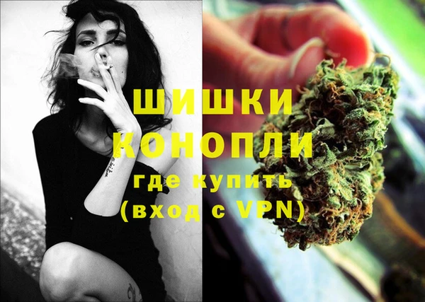 сатива Алзамай