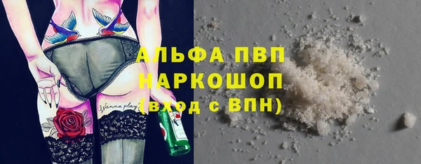 сатива Алзамай